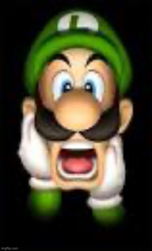 Scared Luigi | image tagged in scared luigi | made w/ Imgflip meme maker