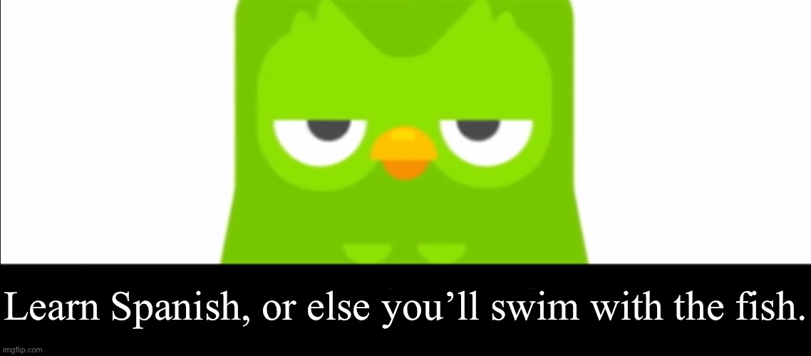 Duolingo was unimpressed | Learn Spanish, or else you’ll swim with the fish. | image tagged in duolingo was unimpressed | made w/ Imgflip meme maker