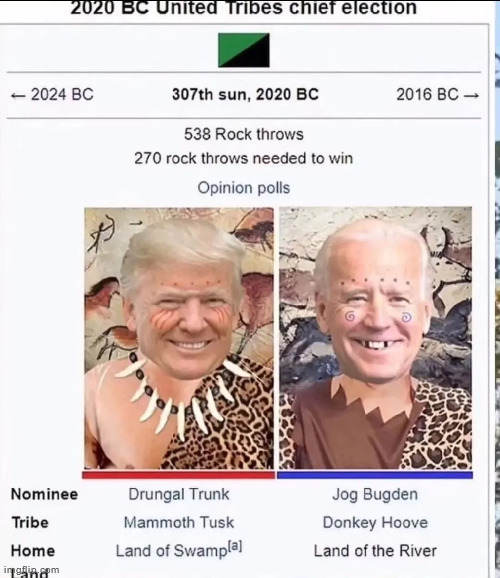 20 upvotes and I post this in politics | made w/ Imgflip meme maker