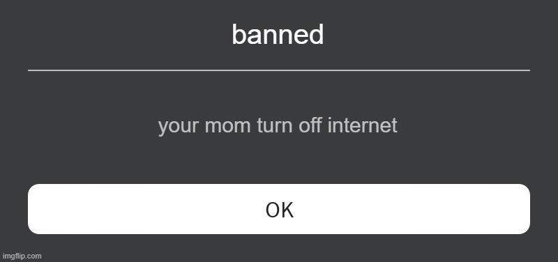 Roblox Error Message | banned; your mom turn off internet | image tagged in roblox error message | made w/ Imgflip meme maker