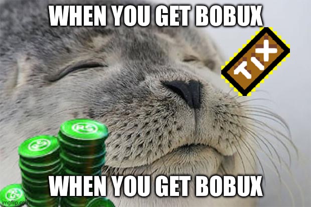 POV when you get bobux | WHEN YOU GET BOBUX; WHEN YOU GET BOBUX | image tagged in memes,satisfied seal | made w/ Imgflip meme maker