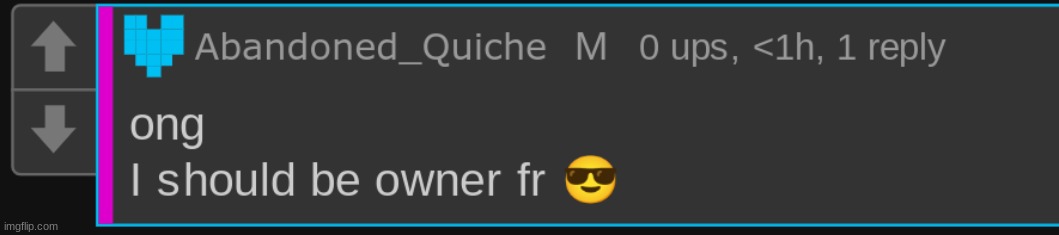 should I be owner | made w/ Imgflip meme maker