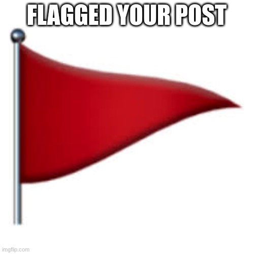 red flag | FLAGGED YOUR POST | image tagged in red flag | made w/ Imgflip meme maker