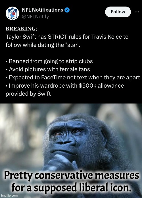 Strict standards | Pretty conservative measures for a supposed liberal icon. | image tagged in deep thoughts,taylor swift,travis kelce,liberals | made w/ Imgflip meme maker