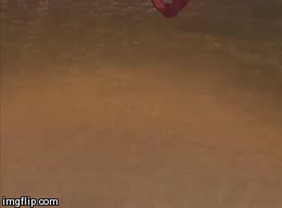 image tagged in gifs | made w/ Imgflip video-to-gif maker