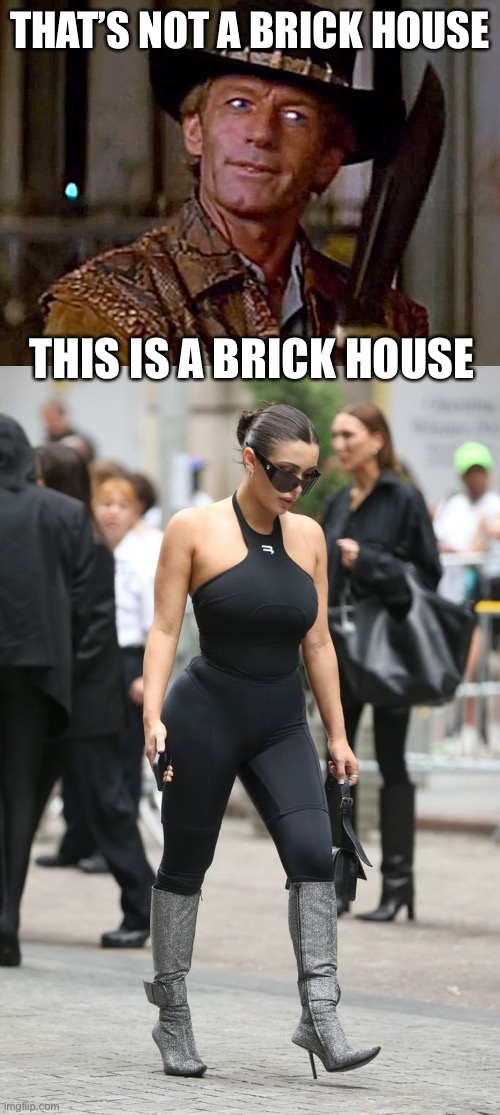 THAT’S NOT A BRICK HOUSE THIS IS A BRICK HOUSE | image tagged in crocodile dundee knife | made w/ Imgflip meme maker