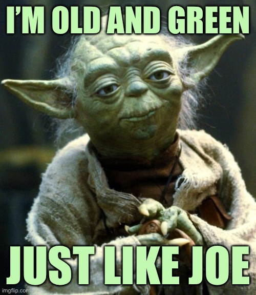 Star Wars Yoda Meme | I’M OLD AND GREEN; JUST LIKE JOE | image tagged in memes,newbie,joe biden,what does green mean | made w/ Imgflip meme maker