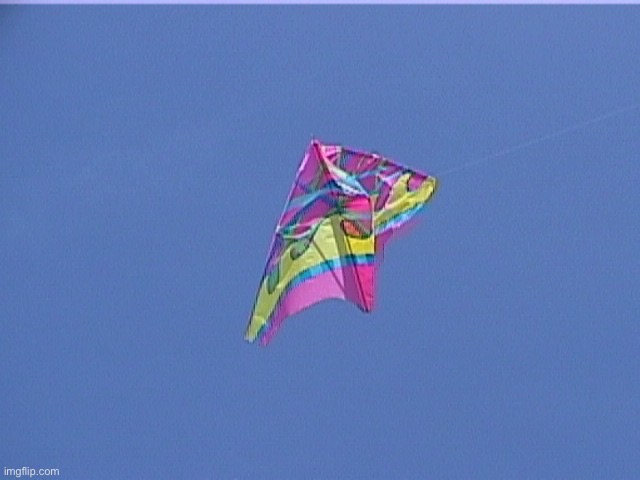 Kite | image tagged in kite | made w/ Imgflip meme maker