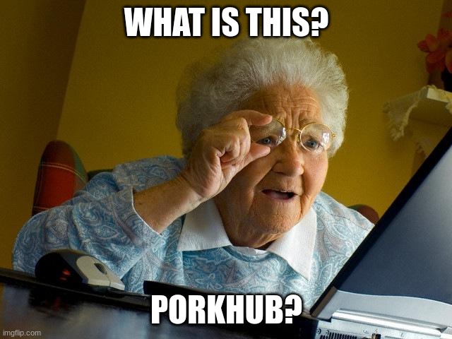 Grandma Finds The Internet Meme | WHAT IS THIS? PORKHUB? | image tagged in memes,grandma finds the internet | made w/ Imgflip meme maker