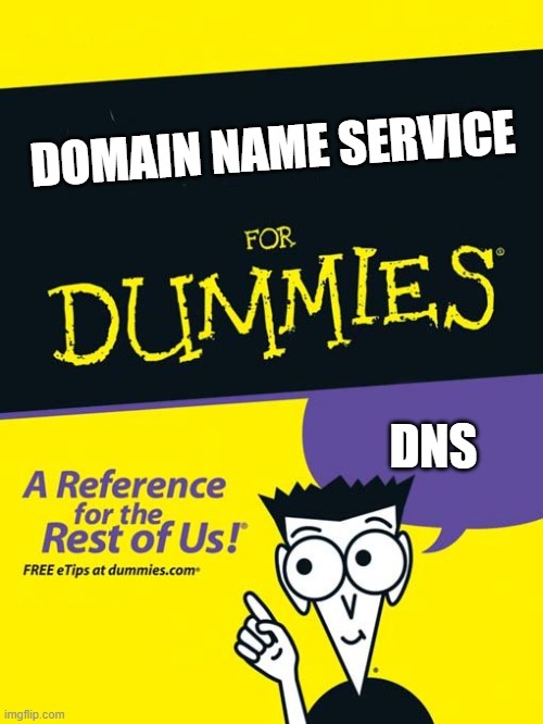 DNS | DOMAIN NAME SERVICE; DNS | image tagged in for dummies book | made w/ Imgflip meme maker
