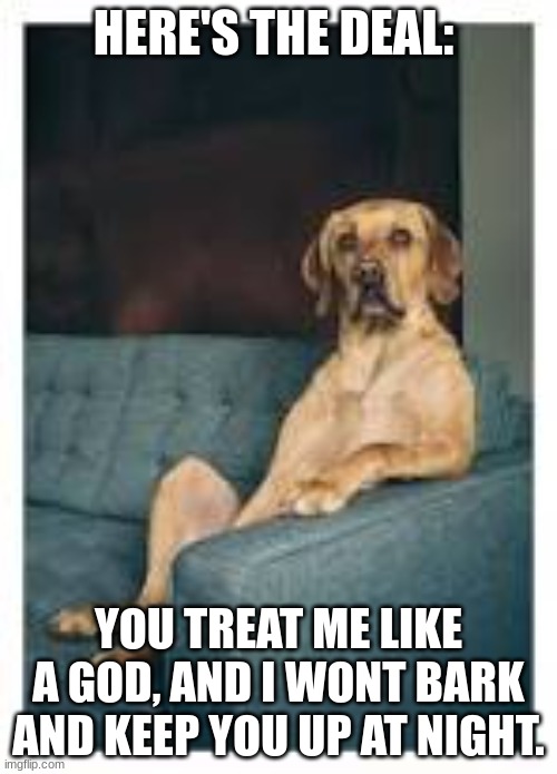 HERE'S THE DEAL:; YOU TREAT ME LIKE A GOD, AND I WONT BARK AND KEEP YOU UP AT NIGHT. | image tagged in charts | made w/ Imgflip meme maker