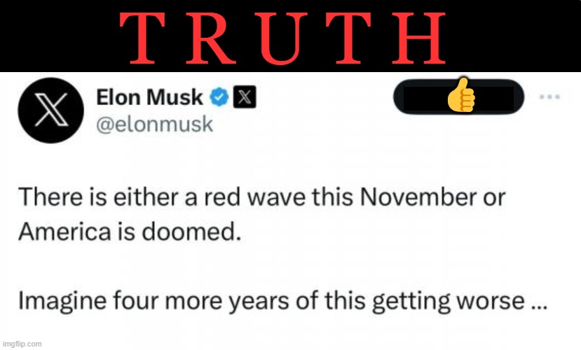 It should be obvious to all but crazed Democrats | T R U T H; 👍 | image tagged in politics,elon musk,truth,democrats,america,republican party | made w/ Imgflip meme maker