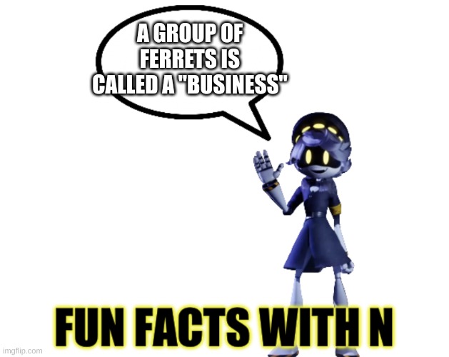 I'm gonna get a bunch of ferrets, dress them in tiny suits, and call them my "business partners" | A GROUP OF FERRETS IS CALLED A "BUSINESS" | image tagged in fun facts with n | made w/ Imgflip meme maker