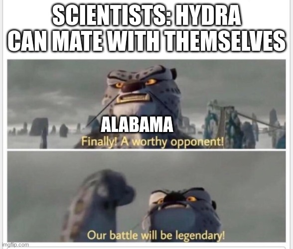 Alabama man be doin some stuff | SCIENTISTS: HYDRA CAN MATE WITH THEMSELVES; ALABAMA | image tagged in finally a worthy opponent | made w/ Imgflip meme maker