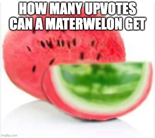 How many upvotes can a materwelon get | HOW MANY UPVOTES CAN A MATERWELON GET | image tagged in watermelon,fruit | made w/ Imgflip meme maker