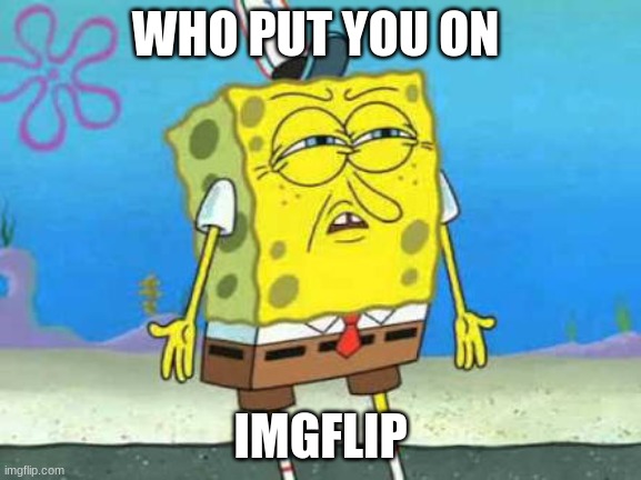 just get out of here theunpopularmemer | WHO PUT YOU ON; IMGFLIP | image tagged in who put you on the planet | made w/ Imgflip meme maker