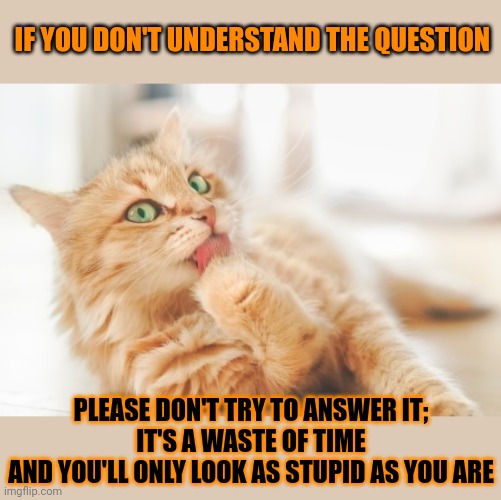 This #lolcat wonders why hoo-mans can't admit they simply don't know | IF YOU DON'T UNDERSTAND THE QUESTION; PLEASE DON'T TRY TO ANSWER IT;
IT'S A WASTE OF TIME
AND YOU'LL ONLY LOOK AS STUPID AS YOU ARE | image tagged in stupid people,lolcat,wrong | made w/ Imgflip meme maker