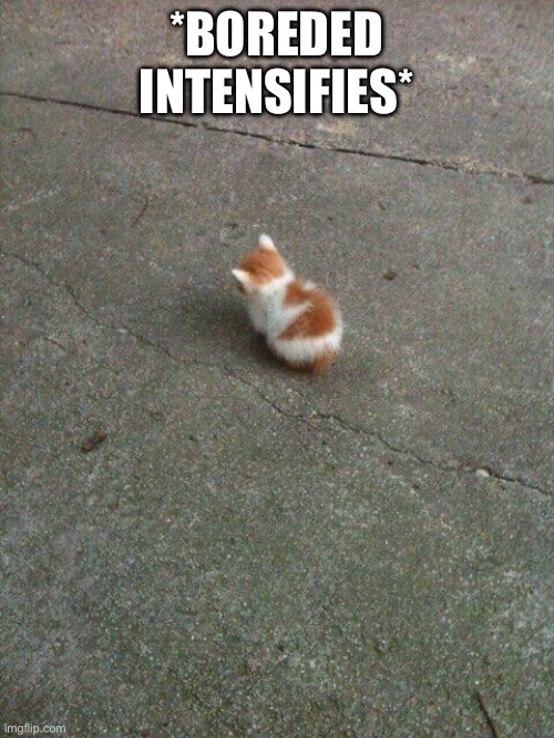 No Talk. Am Angy. | *BOREDED INTENSIFIES* | image tagged in no talk am angy | made w/ Imgflip meme maker