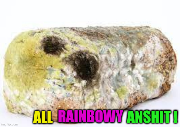 Moldy Bread | ALL RAINBOWY ANSHIT ! | image tagged in moldy bread | made w/ Imgflip meme maker