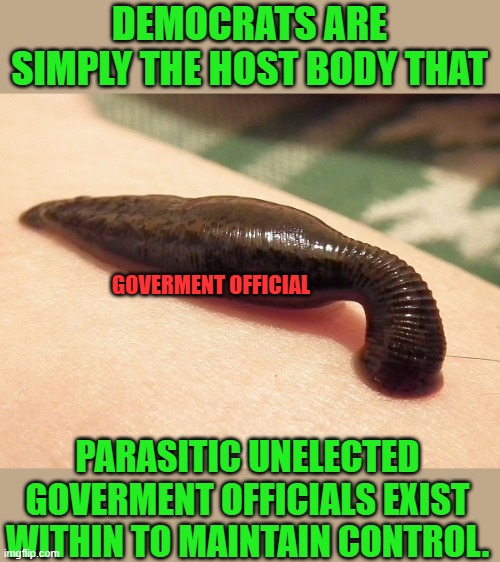 yep | DEMOCRATS ARE SIMPLY THE HOST BODY THAT; GOVERMENT OFFICIAL; PARASITIC UNELECTED GOVERMENT OFFICIALS EXIST WITHIN TO MAINTAIN CONTROL. | image tagged in parasite,democrats | made w/ Imgflip meme maker
