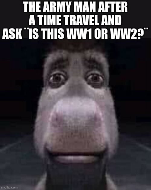 Donkey staring | THE ARMY MAN AFTER A TIME TRAVEL AND ASK ¨IS THIS WW1 OR WW2?¨ | image tagged in donkey staring | made w/ Imgflip meme maker