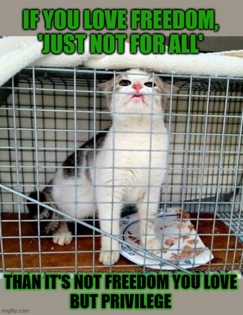 This #lolcat wonders what hoo-mans mean by 'freedom' | IF YOU LOVE FREEDOM,
'JUST NOT FOR ALL'; THAN IT'S NOT FREEDOM YOU LOVE
BUT PRIVILEGE | image tagged in privilege,lolcat,freedom,think about it | made w/ Imgflip meme maker