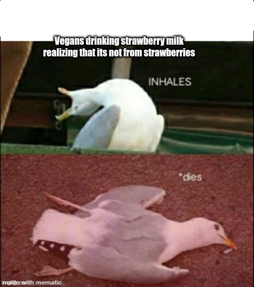 seagull | Vegans drinking strawberry milk realizing that its not from strawberries | image tagged in inhales dies | made w/ Imgflip meme maker