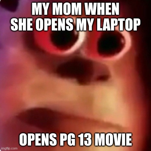 Funny Sully meme | MY MOM WHEN SHE OPENS MY LAPTOP; OPENS PG 13 MOVIE | image tagged in funny | made w/ Imgflip meme maker