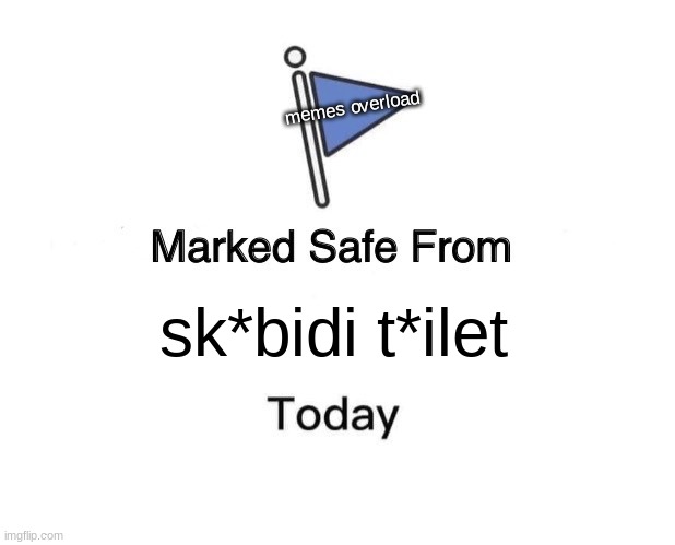 i love this new rule | memes overload; sk*bidi t*ilet | image tagged in memes,marked safe from | made w/ Imgflip meme maker
