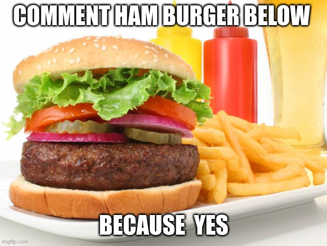 yes | COMMENT HAM BURGER BELOW; BECAUSE  YES | image tagged in hamburger,bruh,memes | made w/ Imgflip meme maker