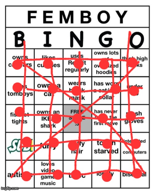 What a good bingo :) | image tagged in femboy bingo | made w/ Imgflip meme maker