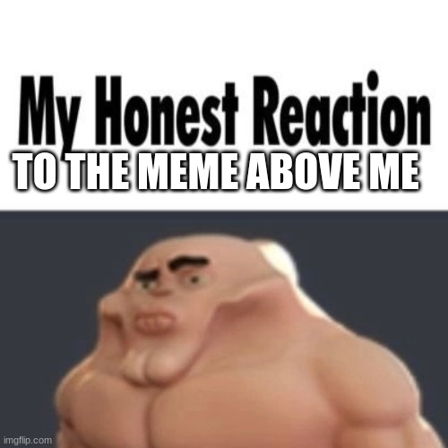 pluh | TO THE MEME ABOVE ME | image tagged in my honest reaction,memes | made w/ Imgflip meme maker