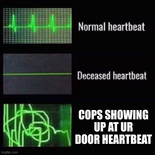 heartbeat rate | COPS SHOWING UP AT UR DOOR HEARTBEAT | image tagged in heartbeat rate | made w/ Imgflip meme maker
