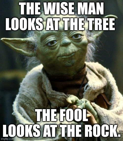 Star Wars Yoda | THE WISE MAN LOOKS AT THE TREE; THE FOOL LOOKS AT THE ROCK. | image tagged in memes,star wars yoda | made w/ Imgflip meme maker