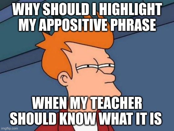 Futurama Fry | WHY SHOULD I HIGHLIGHT MY APPOSITIVE PHRASE; WHEN MY TEACHER SHOULD KNOW WHAT IT IS | image tagged in memes,futurama fry | made w/ Imgflip meme maker