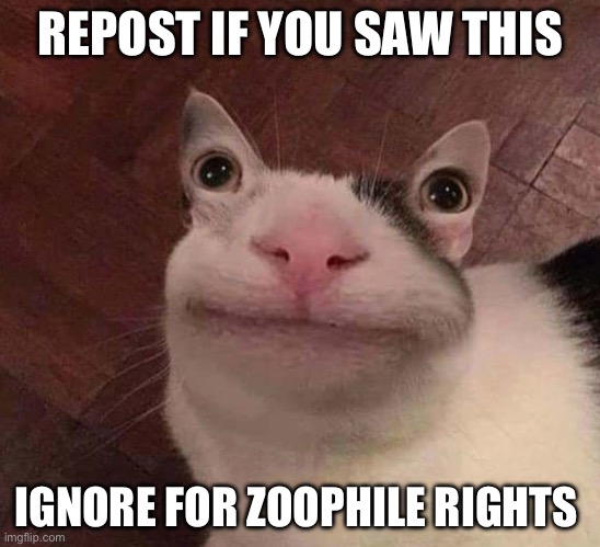 Cursed Cat | REPOST IF YOU SAW THIS; IGNORE FOR ZOOPHILE RIGHTS | image tagged in cursed cat | made w/ Imgflip meme maker