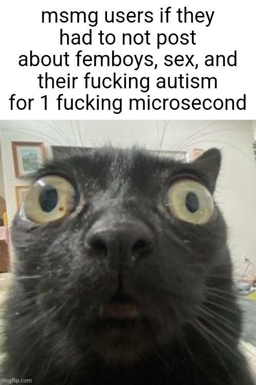 Also forgot to mention irl problems like your squirrel dying from shitting too hard so you quit imgflip for a while | msmg users if they had to not post about femboys, sex, and their fucking autism for 1 fucking microsecond | made w/ Imgflip meme maker