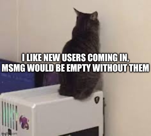 I LIKE NEW USERS COMING IN, MSMG WOULD BE EMPTY WITHOUT THEM | made w/ Imgflip meme maker