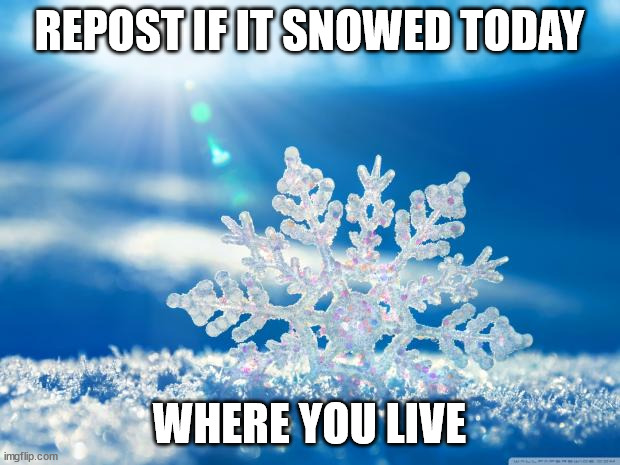 snowflake | REPOST IF IT SNOWED TODAY; WHERE YOU LIVE | image tagged in snowflake | made w/ Imgflip meme maker