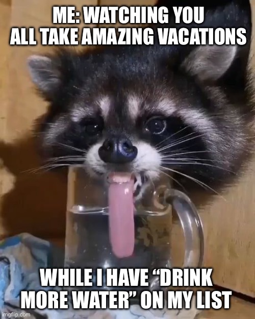 Raccoon Vacation Goals | ME: WATCHING YOU ALL TAKE AMAZING VACATIONS; WHILE I HAVE “DRINK MORE WATER” ON MY LIST | image tagged in raccoon drinks water,vacation,spring break,summer vacation,water | made w/ Imgflip meme maker