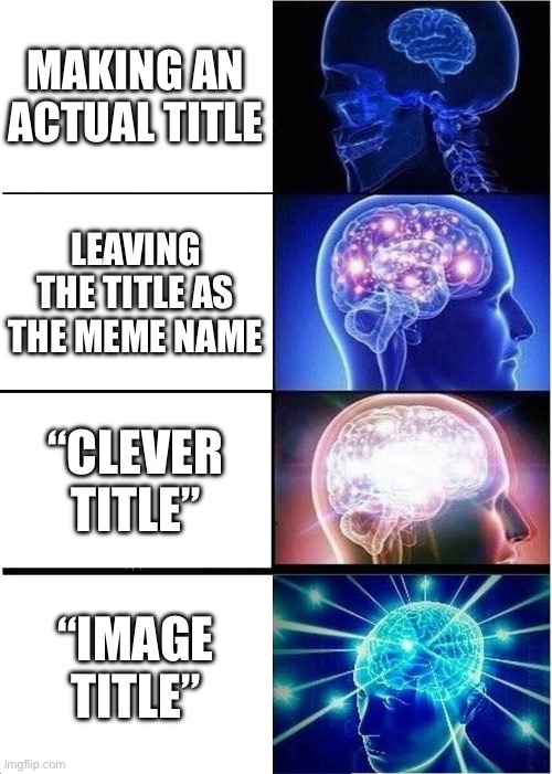 Image title | MAKING AN ACTUAL TITLE; LEAVING THE TITLE AS THE MEME NAME; “CLEVER TITLE”; “IMAGE TITLE” | image tagged in memes,expanding brain | made w/ Imgflip meme maker