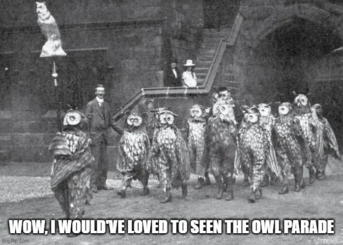 Owl Parade | WOW, I WOULD'VE LOVED TO SEEN THE OWL PARADE | image tagged in unsee juice | made w/ Imgflip meme maker