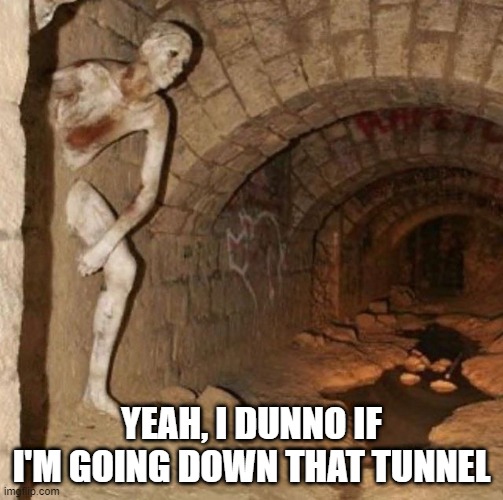 Tunnel Time | YEAH, I DUNNO IF I'M GOING DOWN THAT TUNNEL | image tagged in cursed image | made w/ Imgflip meme maker