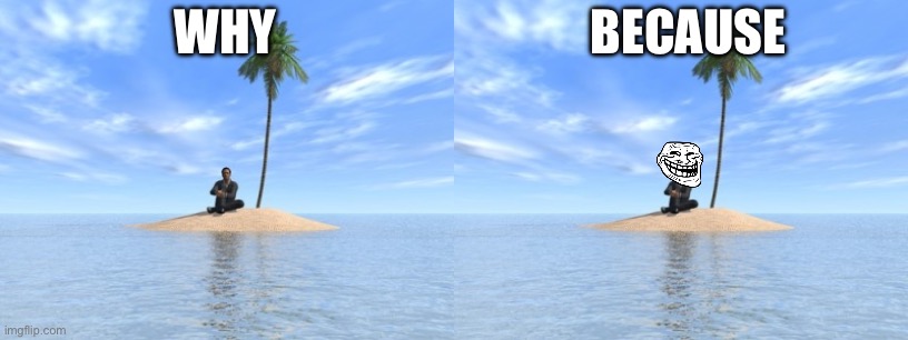 WHY BECAUSE | image tagged in desert island | made w/ Imgflip meme maker
