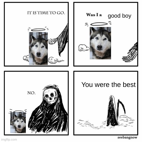 rest in peace raiden | good boy; You were the best | image tagged in was i a good meme,rip,dogs | made w/ Imgflip meme maker