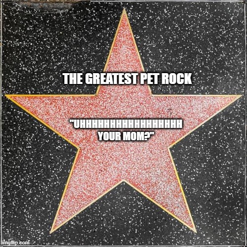 since everyone is making these: | THE GREATEST PET ROCK; "UHHHHHHHHHHHHHHHHH YOUR MOM?" | image tagged in walk of fame | made w/ Imgflip meme maker