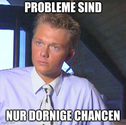 Christian Lindner - Probleme sind nur dornige Chancen | PROBLEME SIND; NUR DORNIGE CHANCEN | image tagged in christian lindner - probleme sind nur dornige chancen | made w/ Imgflip meme maker