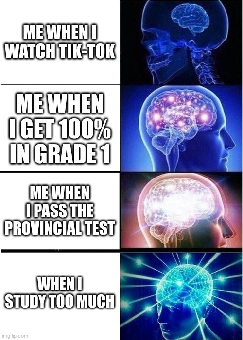Expanding Brain | ME WHEN I WATCH TIK-TOK; ME WHEN I GET 100% IN GRADE 1; ME WHEN I PASS THE PROVINCIAL TEST; WHEN I STUDY TOO MUCH | image tagged in memes,expanding brain | made w/ Imgflip meme maker