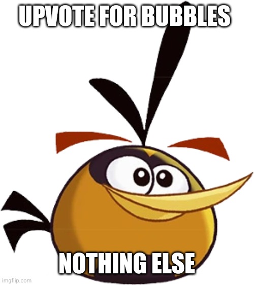 Real | UPVOTE FOR BUBBLES; NOTHING ELSE | image tagged in bubbles angry birds toons | made w/ Imgflip meme maker