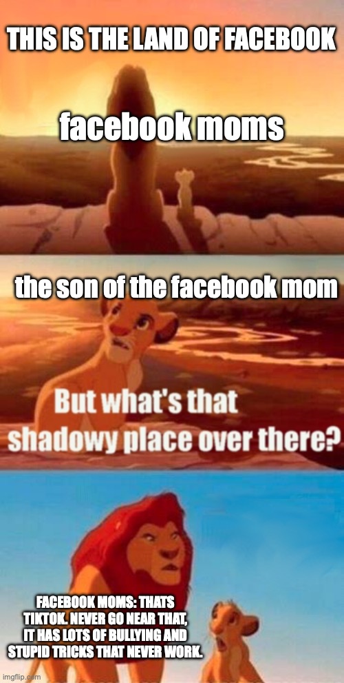 facebook moms: NEVER DO TIK TOK BRUH | THIS IS THE LAND OF FACEBOOK; facebook moms; the son of the facebook mom; FACEBOOK MOMS: THATS TIKTOK. NEVER GO NEAR THAT, IT HAS LOTS OF BULLYING AND STUPID TRICKS THAT NEVER WORK. | image tagged in memes,simba shadowy place | made w/ Imgflip meme maker